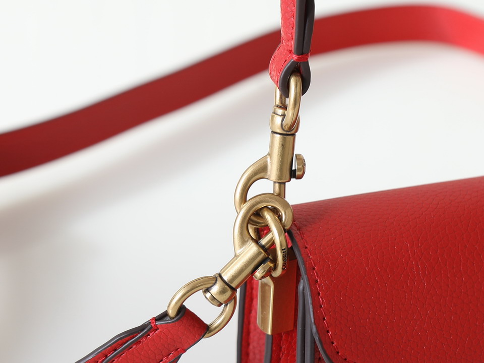 Coach 73995 20x10x6cm ss3_6