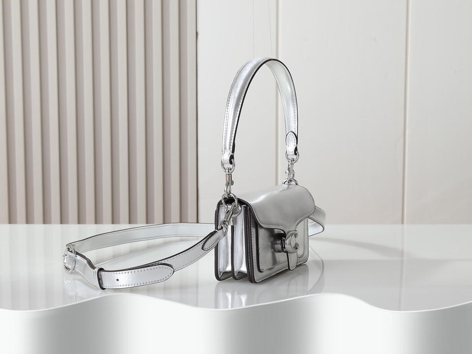 Coach 73995 20x10x6cm ss_3