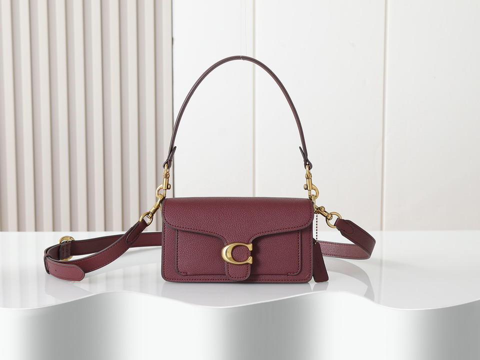 Coach 73995 20x10x6cm ss5_1