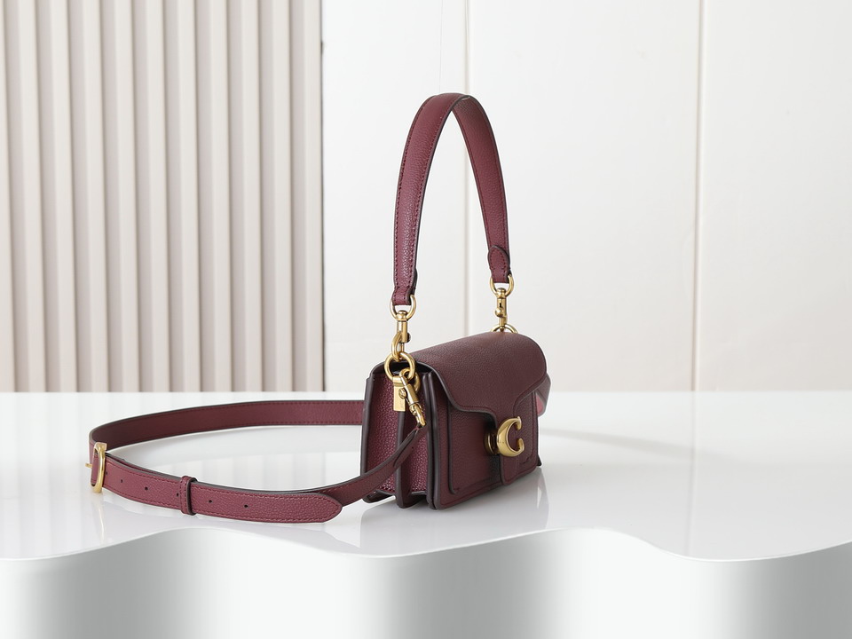 Coach 73995 20x10x6cm ss5_3