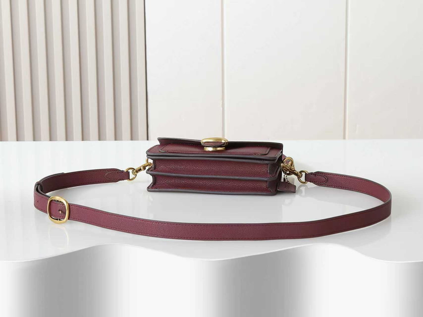 Coach 73995 20x10x6cm ss5_4