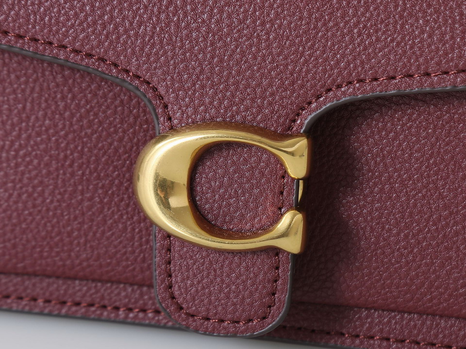 Coach 73995 20x10x6cm ss5_5