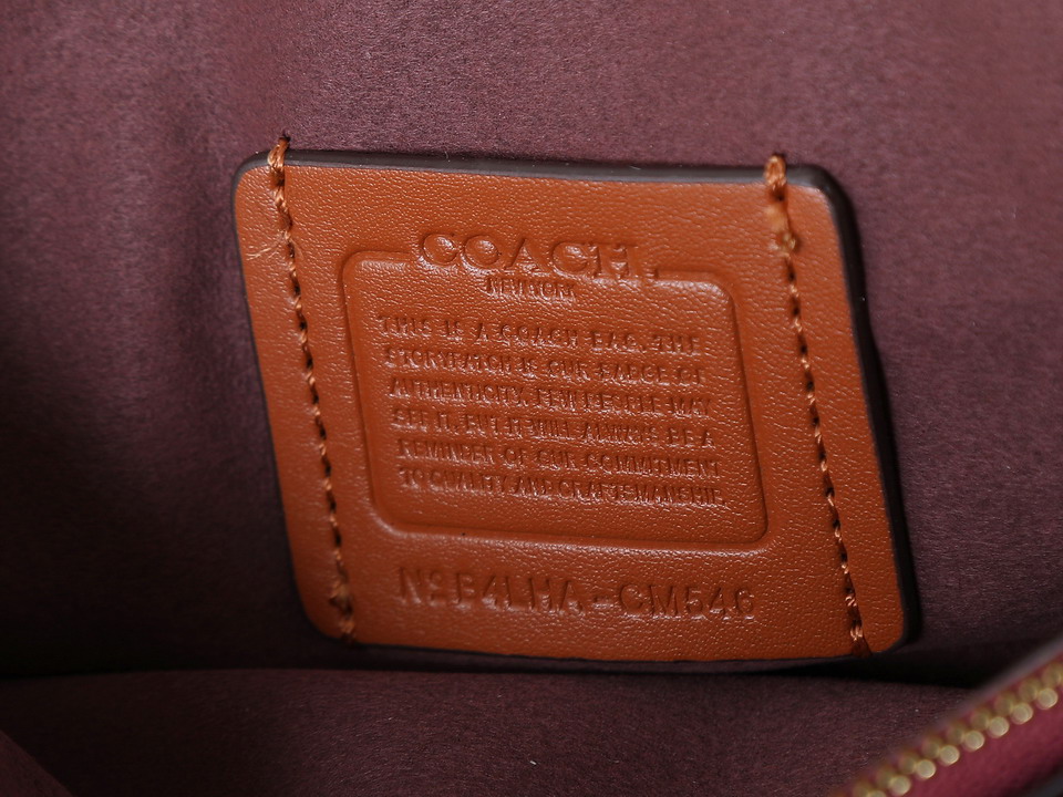 Coach 73995 20x10x6cm ss5_8