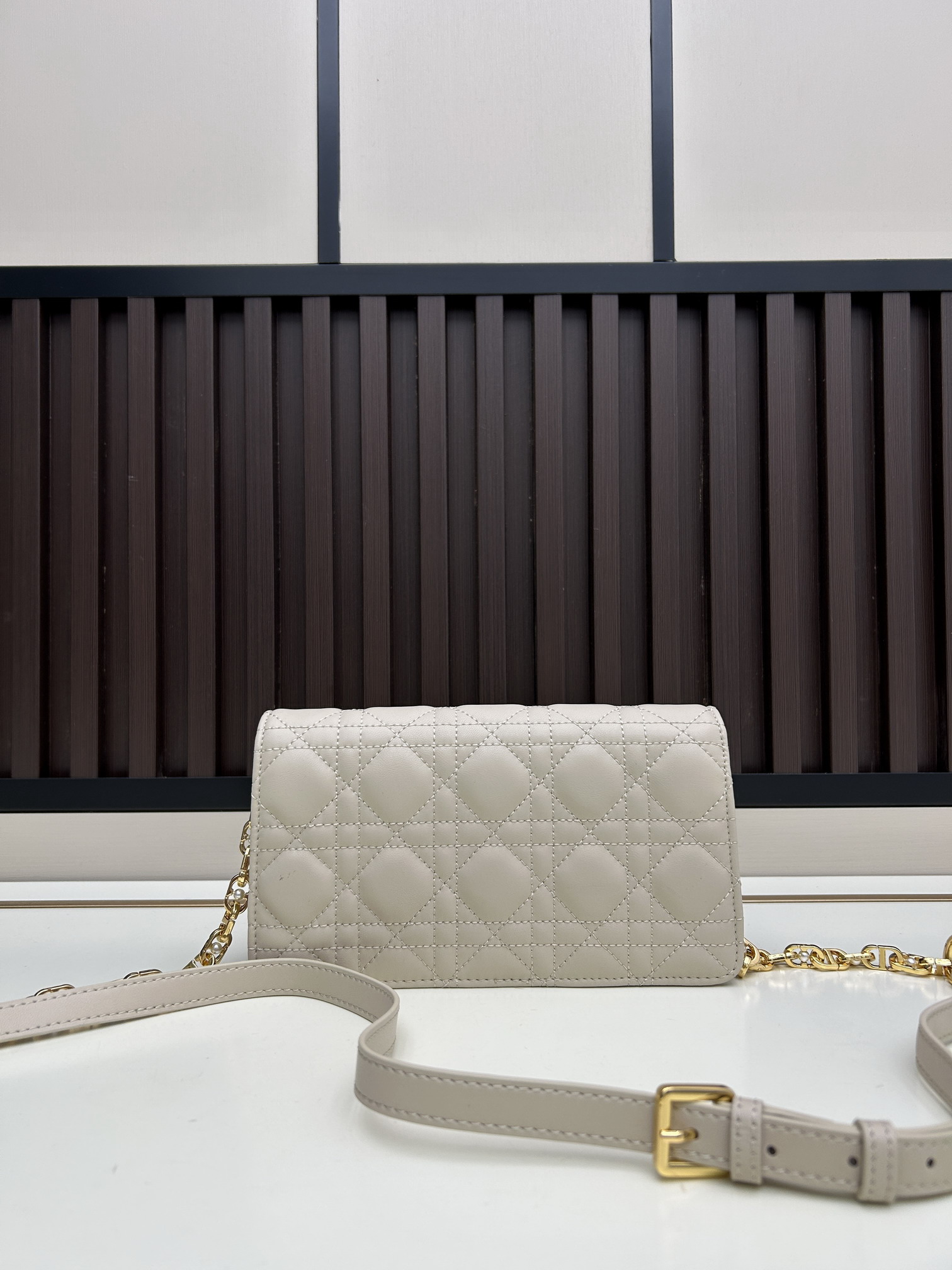 Dior s3117 21x11 5x4cm jj1_3