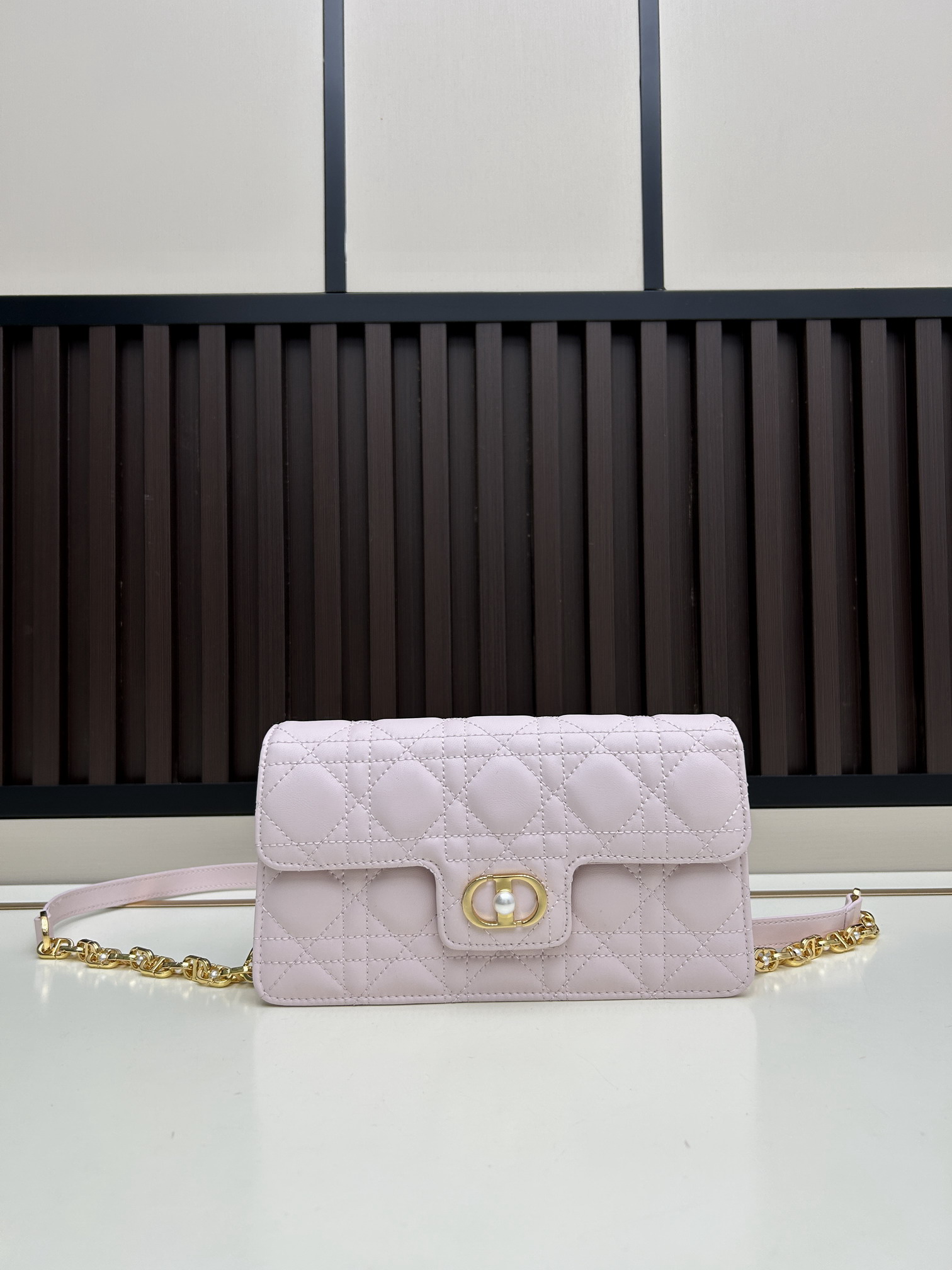 Dior s3117 21x11 5x4cm jj2_1