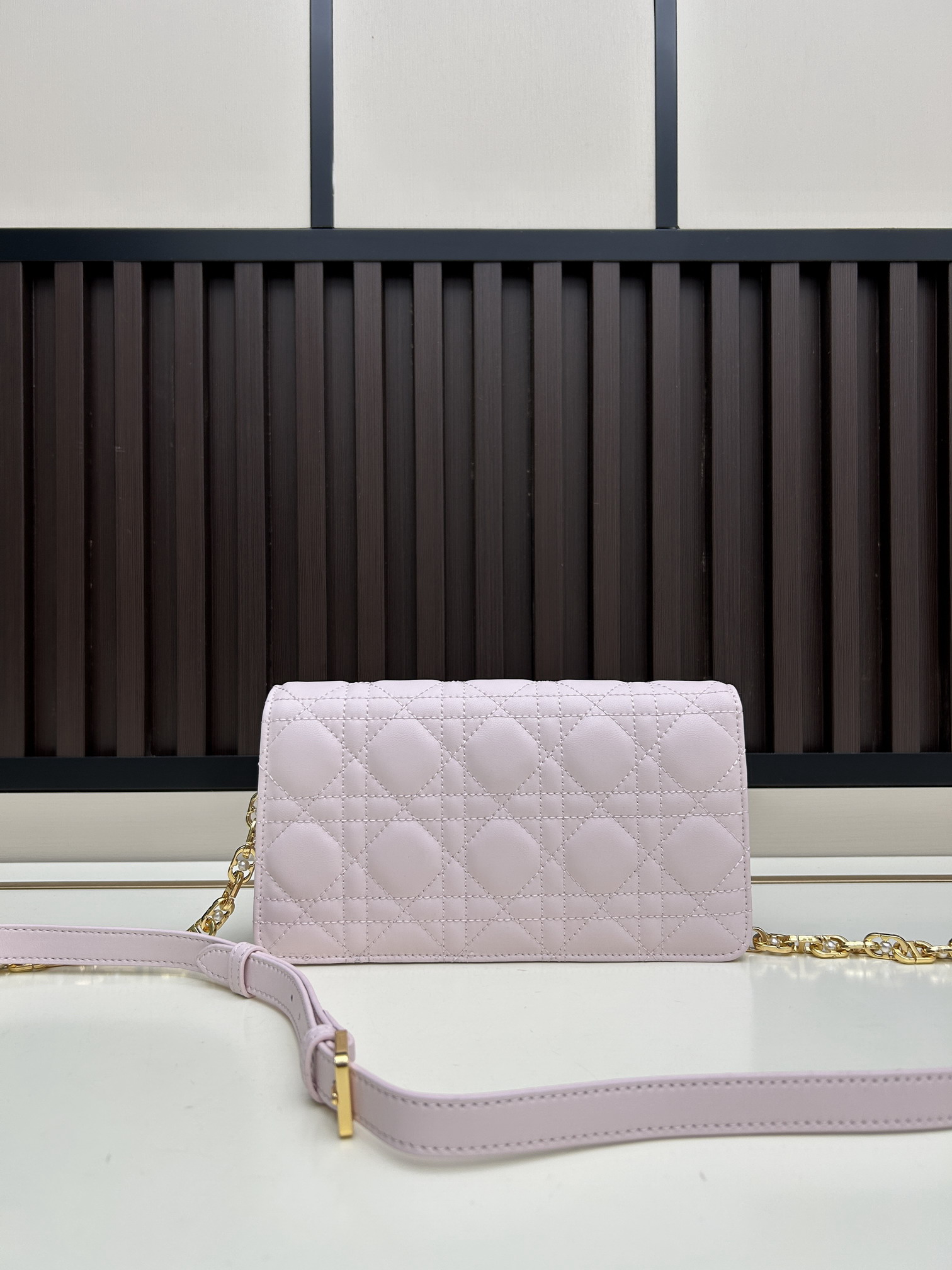 Dior s3117 21x11 5x4cm jj2_3