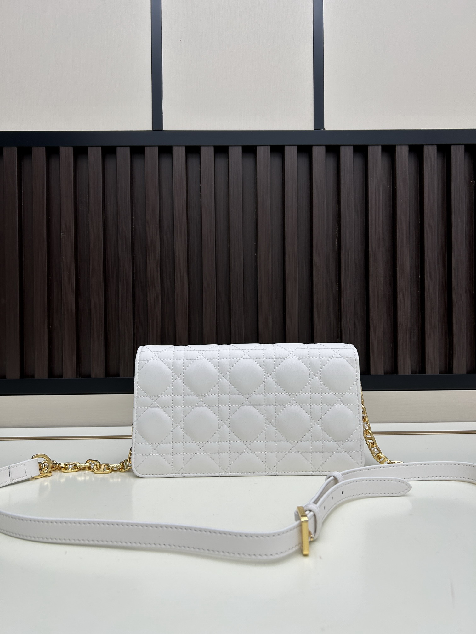 Dior s3117 21x11 5x4cm jj3_3