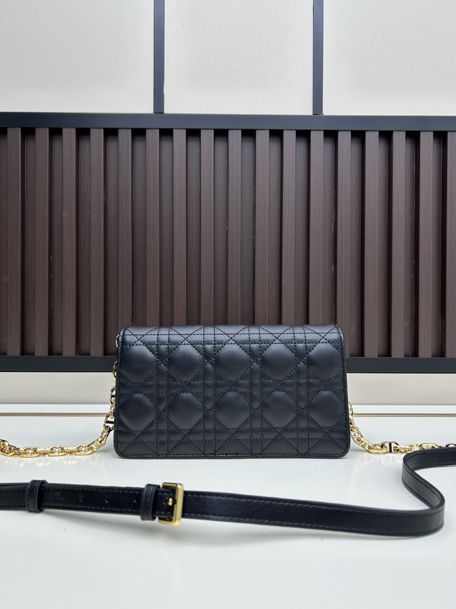 Dior s3117 21x11 5x4cm jj_3