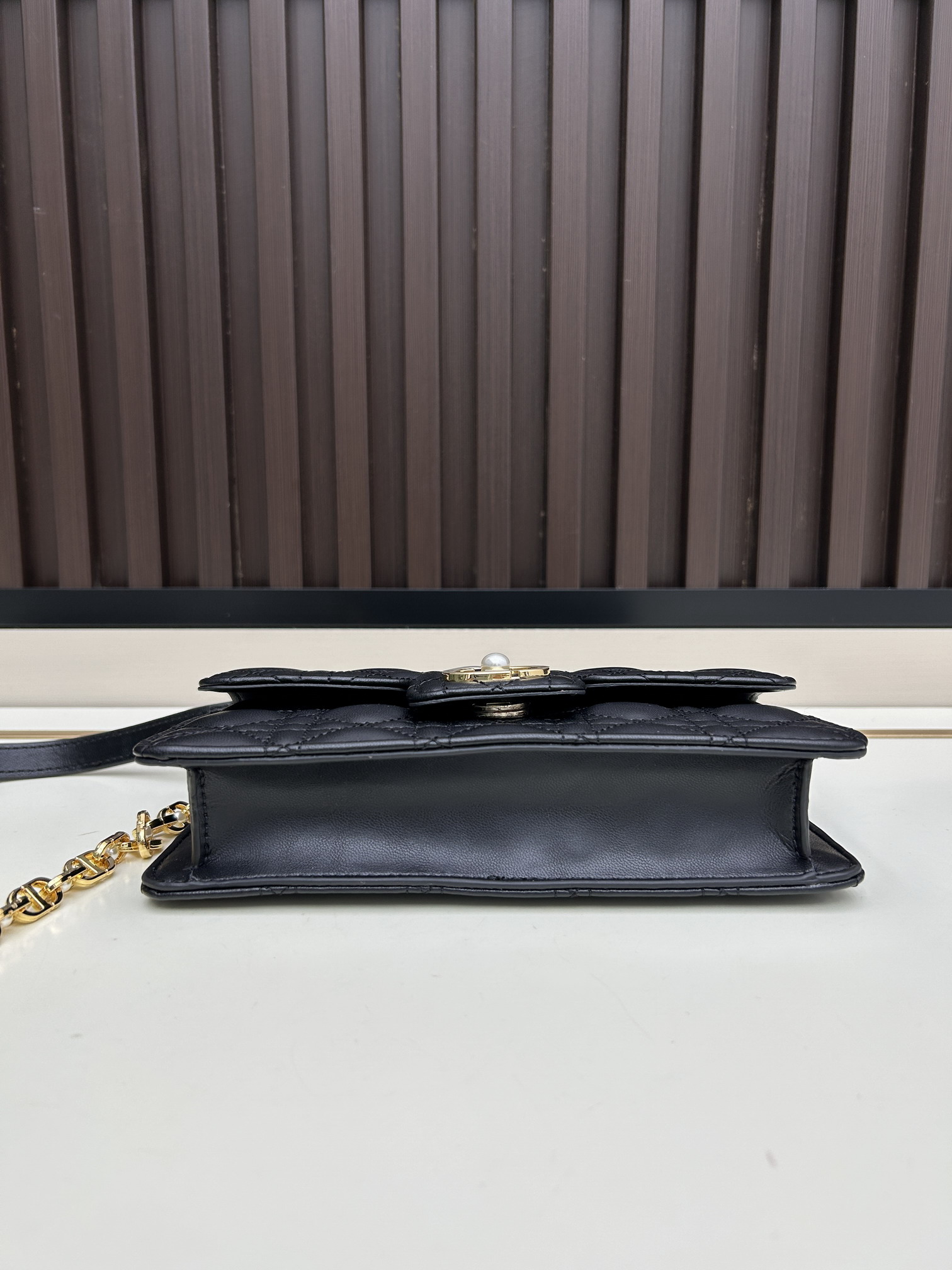 Dior s3117 21x11 5x4cm jj_5