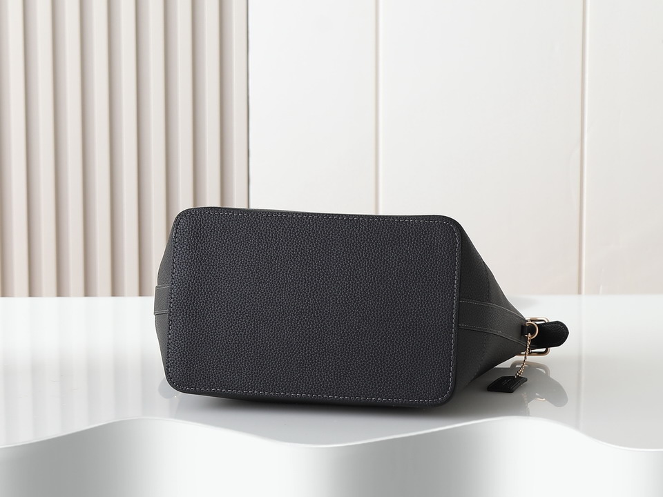 Coach CBH20 24x15x26cm ss2_4