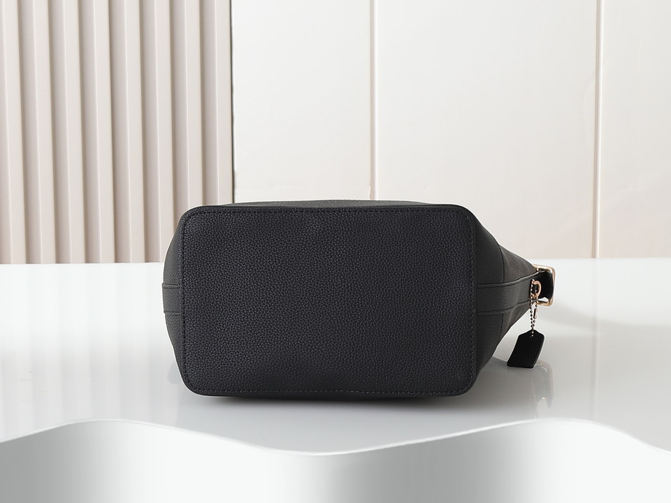 Coach CBH20 24x15x26cm ss3_4