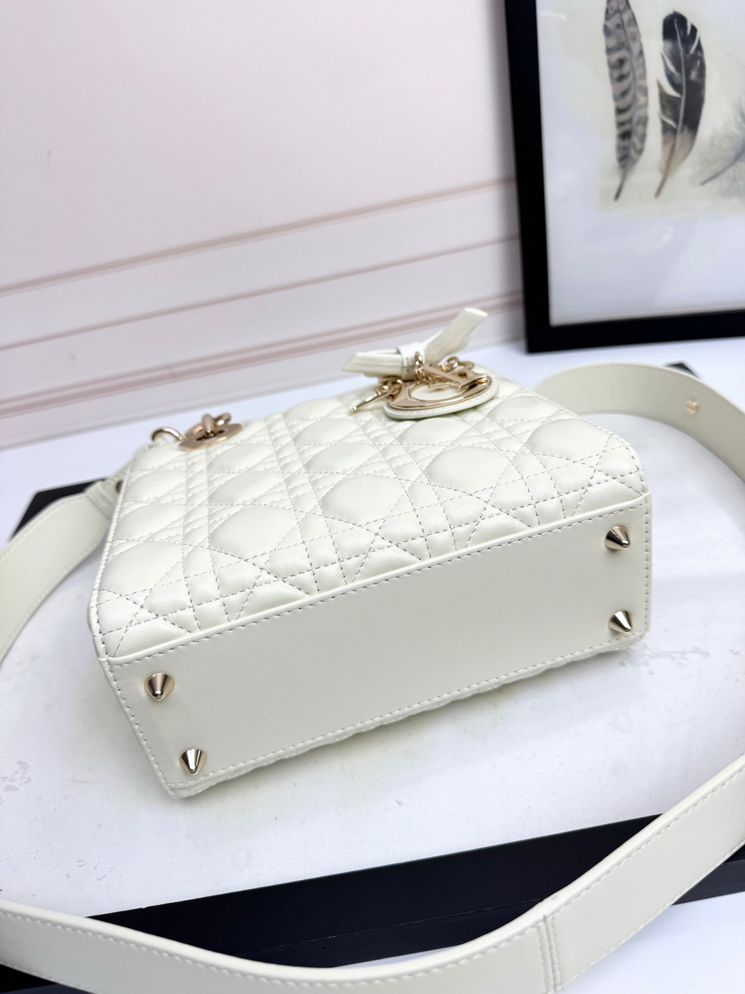Dior Lady D6604 20x16 5x8cm yz2_4