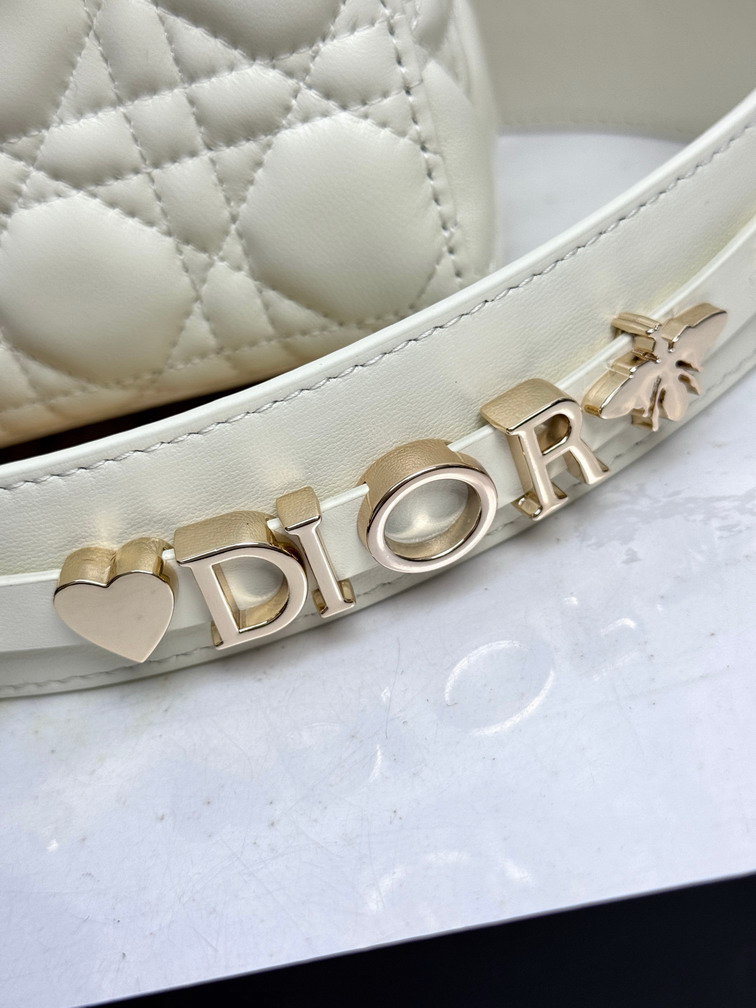 Dior Lady D6604 20x16 5x8cm yz2_7