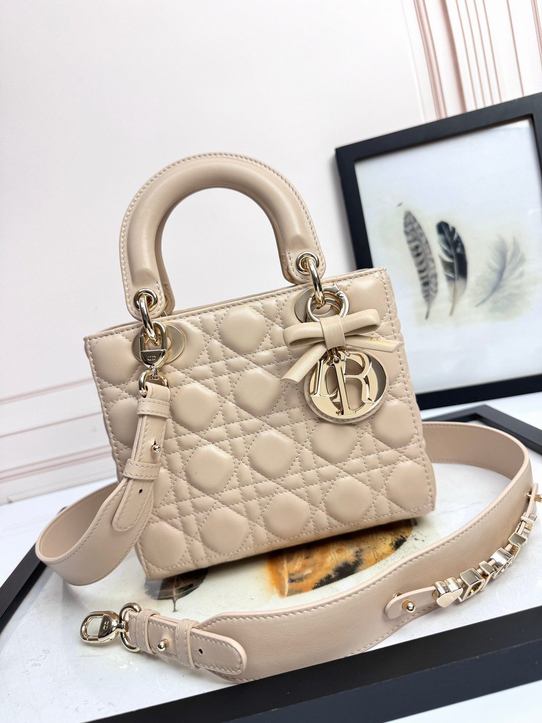Dior Lady D6604 20x16 5x8cm yz3_1