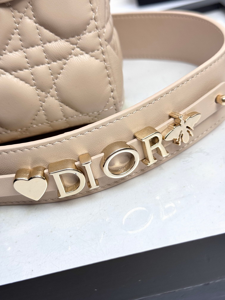Dior Lady D6604 20x16 5x8cm yz3_6