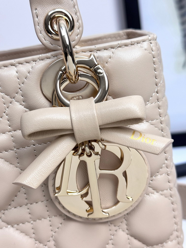 Dior Lady D6604 20x16 5x8cm yz3_9