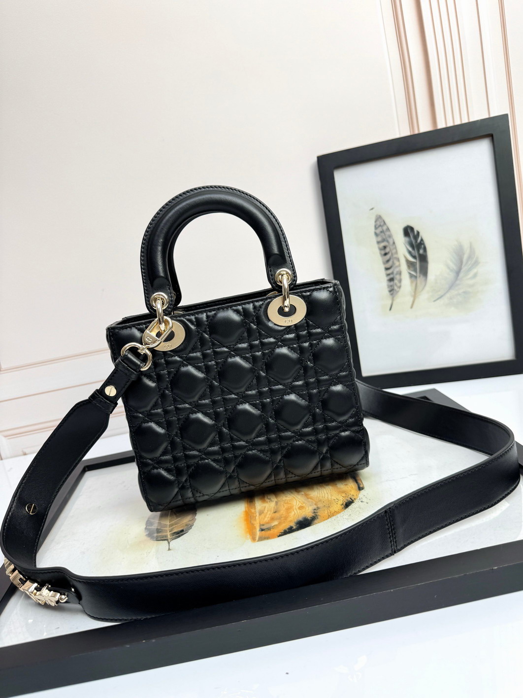 Dior Lady D6604 20x16 5x8cm yz_3