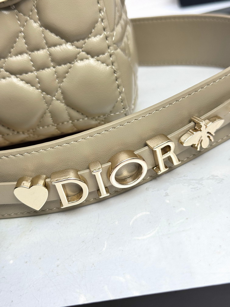 Dior Lady D6604 20x16 5x8cm yz4_5