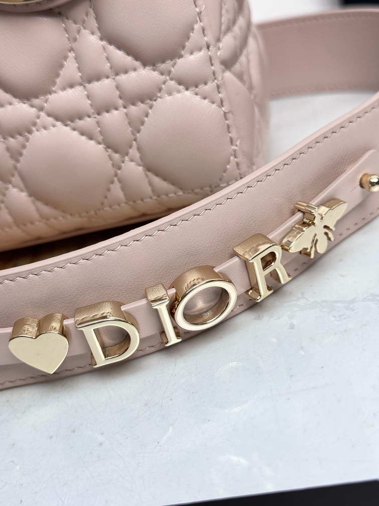 Dior Lady D6604 20x16 5x8cm yz_6
