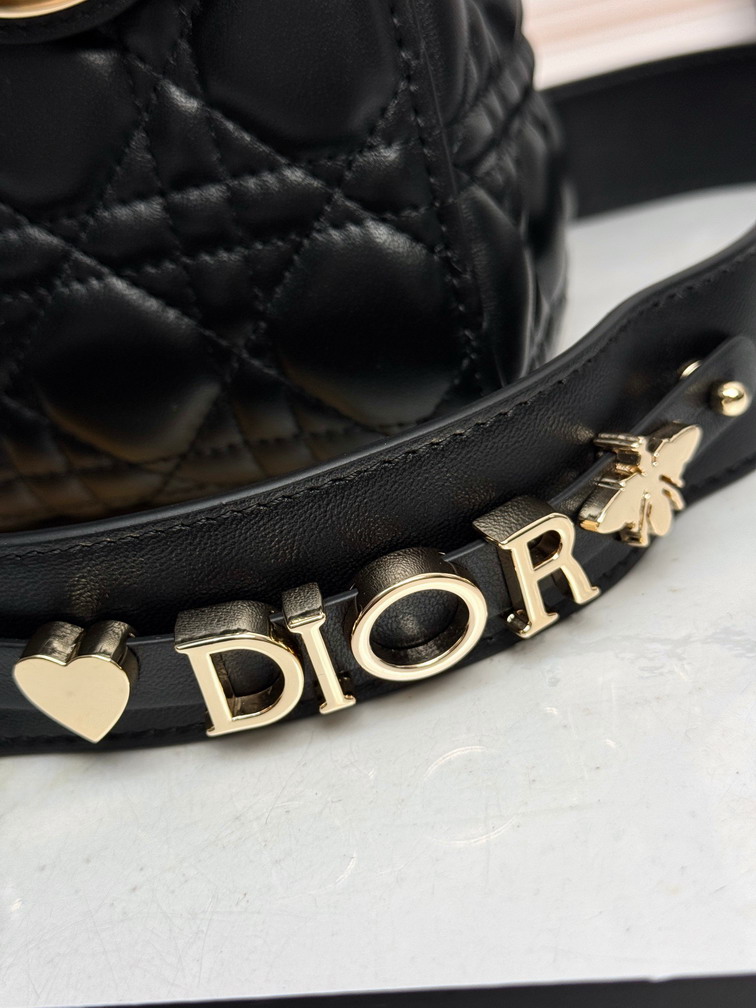 Dior Lady D6604 20x16 5x8cm yz_6