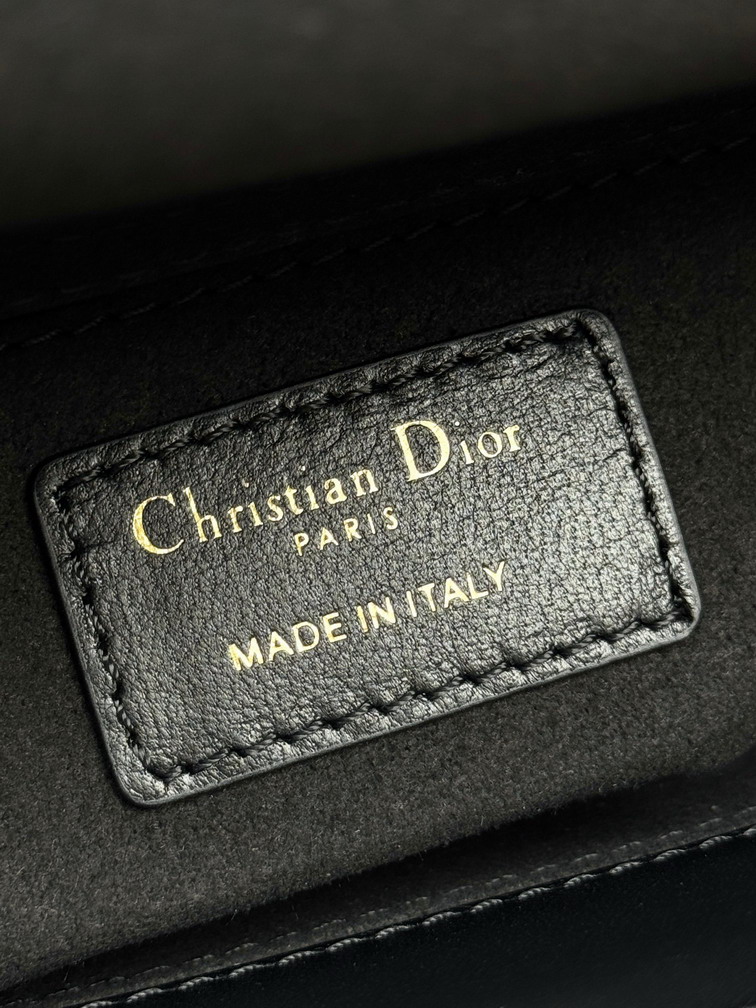 Dior Lady D6604 20x16 5x8cm yz_8