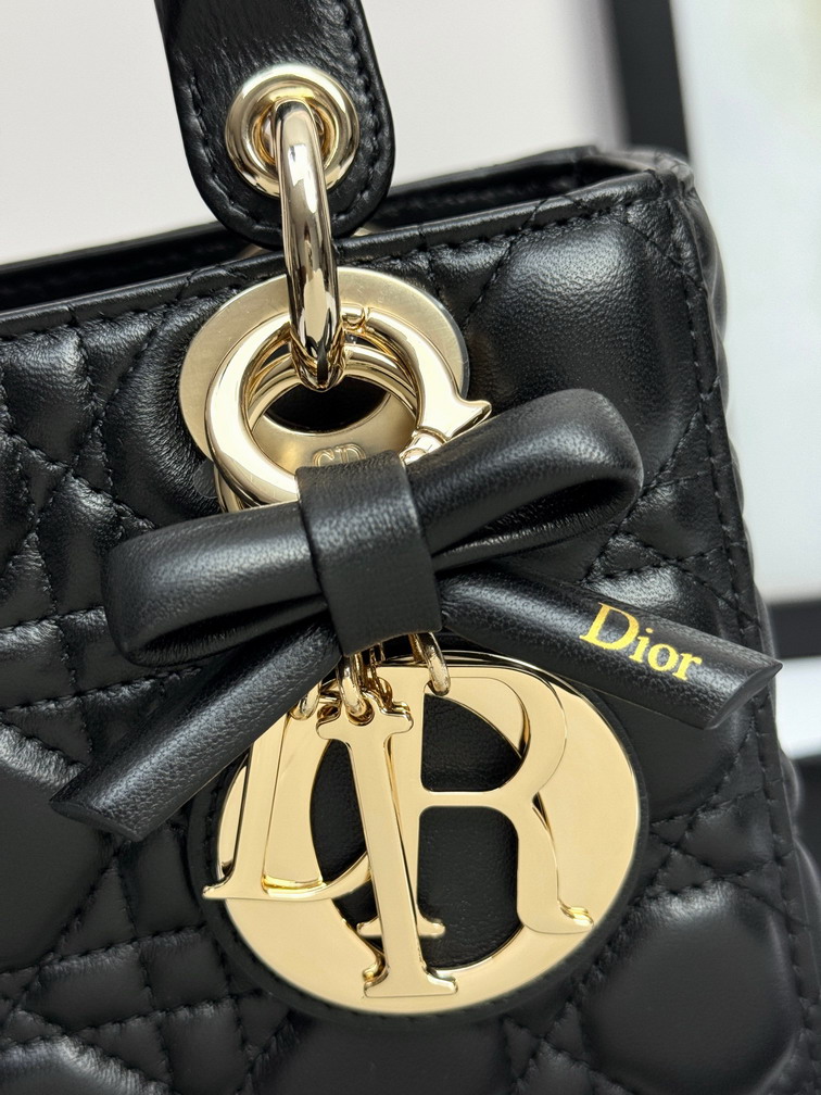 Dior Lady D6604 20x16 5x8cm yz_9