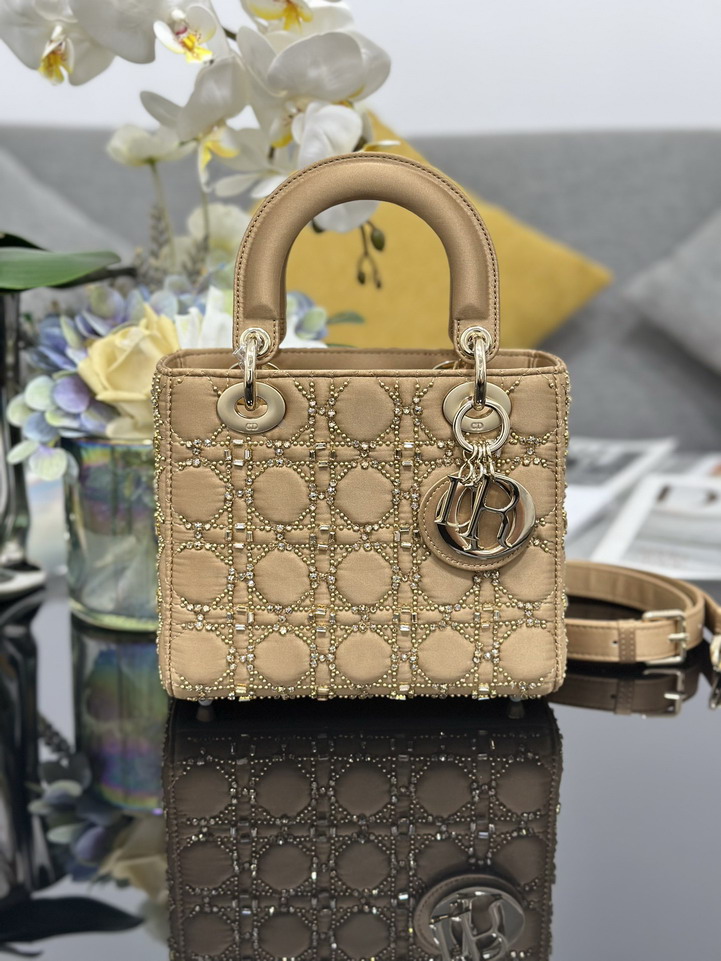 Dior Lady M0538 20x16 5x8cm yz1_1