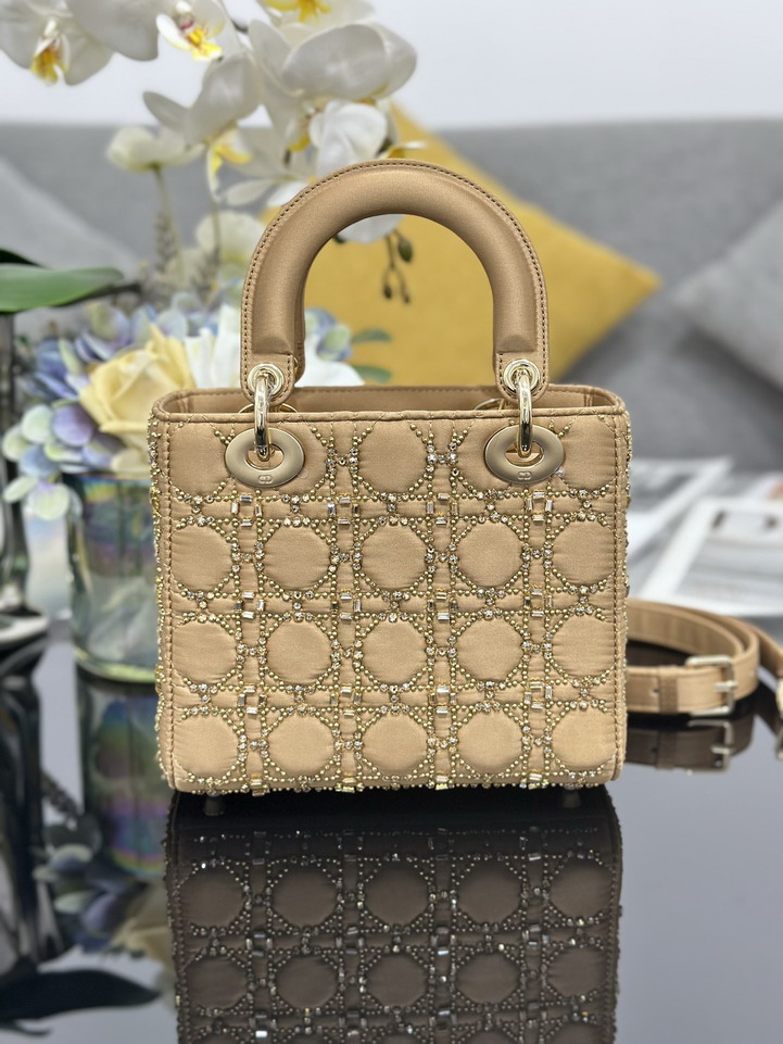 Dior Lady M0538 20x16 5x8cm yz1_2