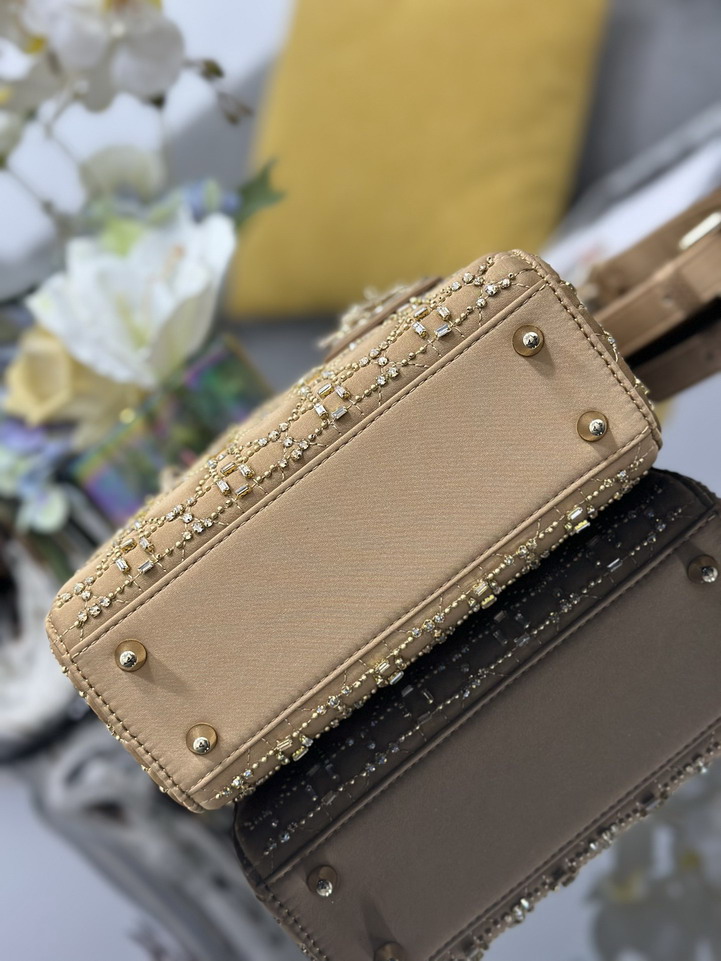 Dior Lady M0538 20x16 5x8cm yz1_4