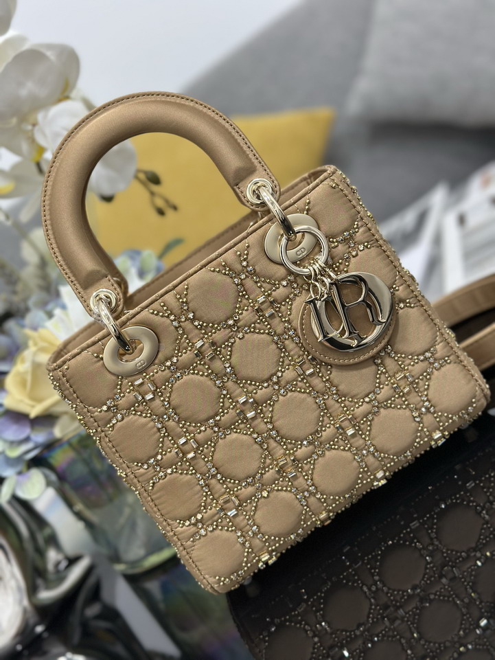 Dior Lady M0538 20x16 5x8cm yz1_5