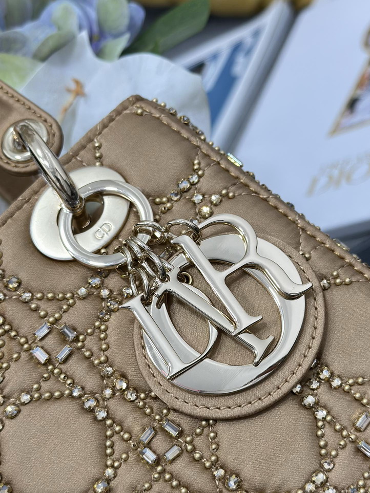 Dior Lady M0538 20x16 5x8cm yz1_6