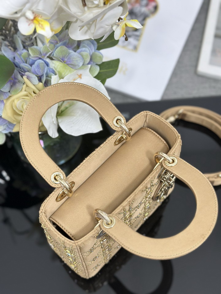 Dior Lady M0538 20x16 5x8cm yz1_7
