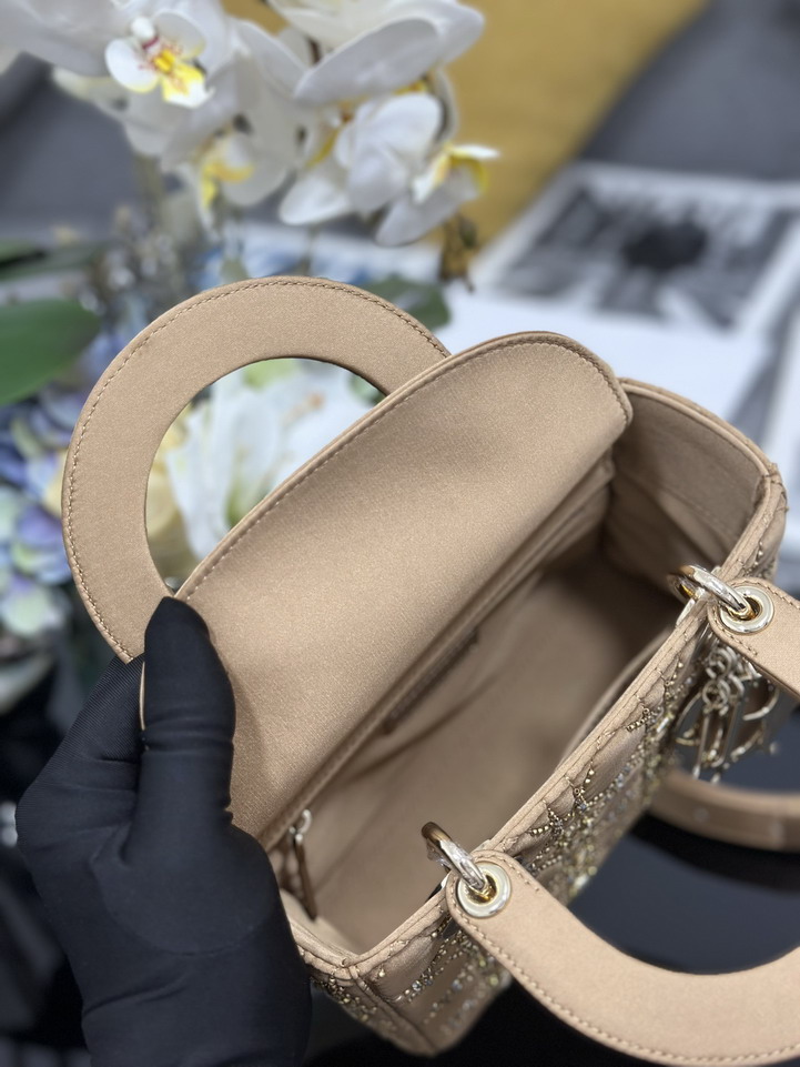 Dior Lady M0538 20x16 5x8cm yz1_8
