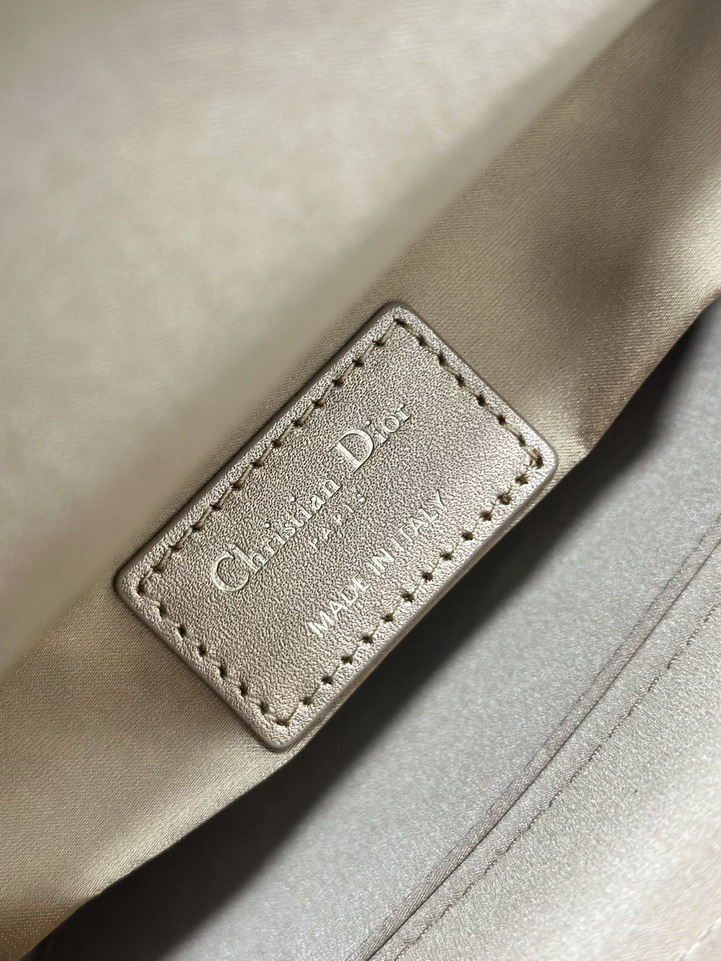 Dior Lady M0538 20x16 5x8cm yz1_9