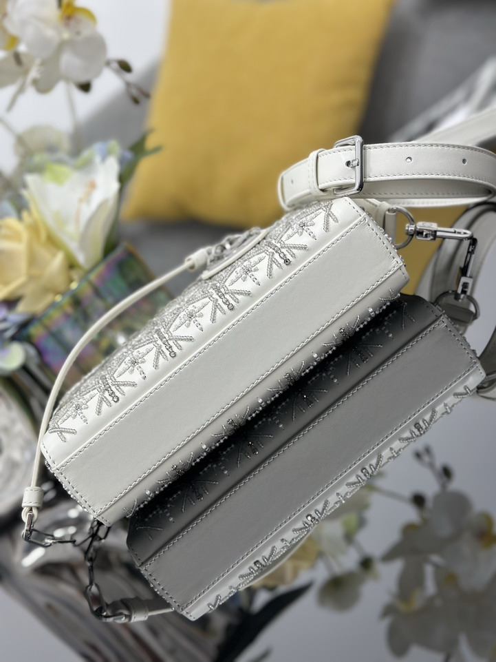 Dior Lady M0613 22x12x6cm yz_4