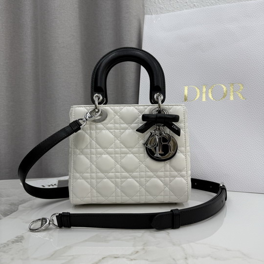 Dior M0538 20x18x8cm yz1_1