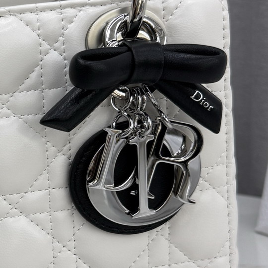 Dior M0538 20x18x8cm yz1_4