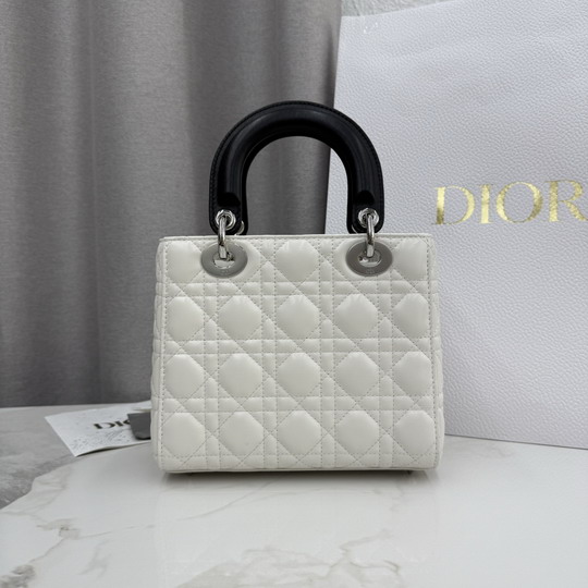 Dior M0538 20x18x8cm yz1_5