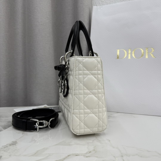 Dior M0538 20x18x8cm yz1_7