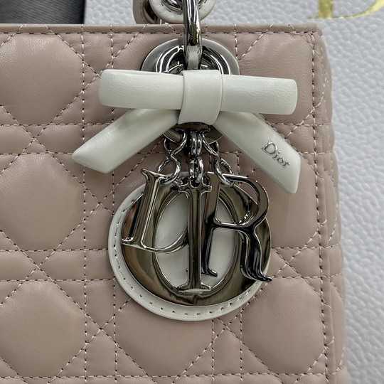 Dior M0538 20x18x8cm yz_4