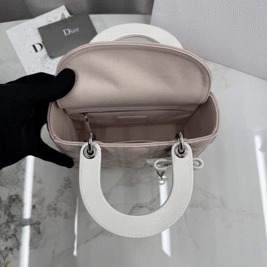 Dior M0538 20x18x8cm yz_8