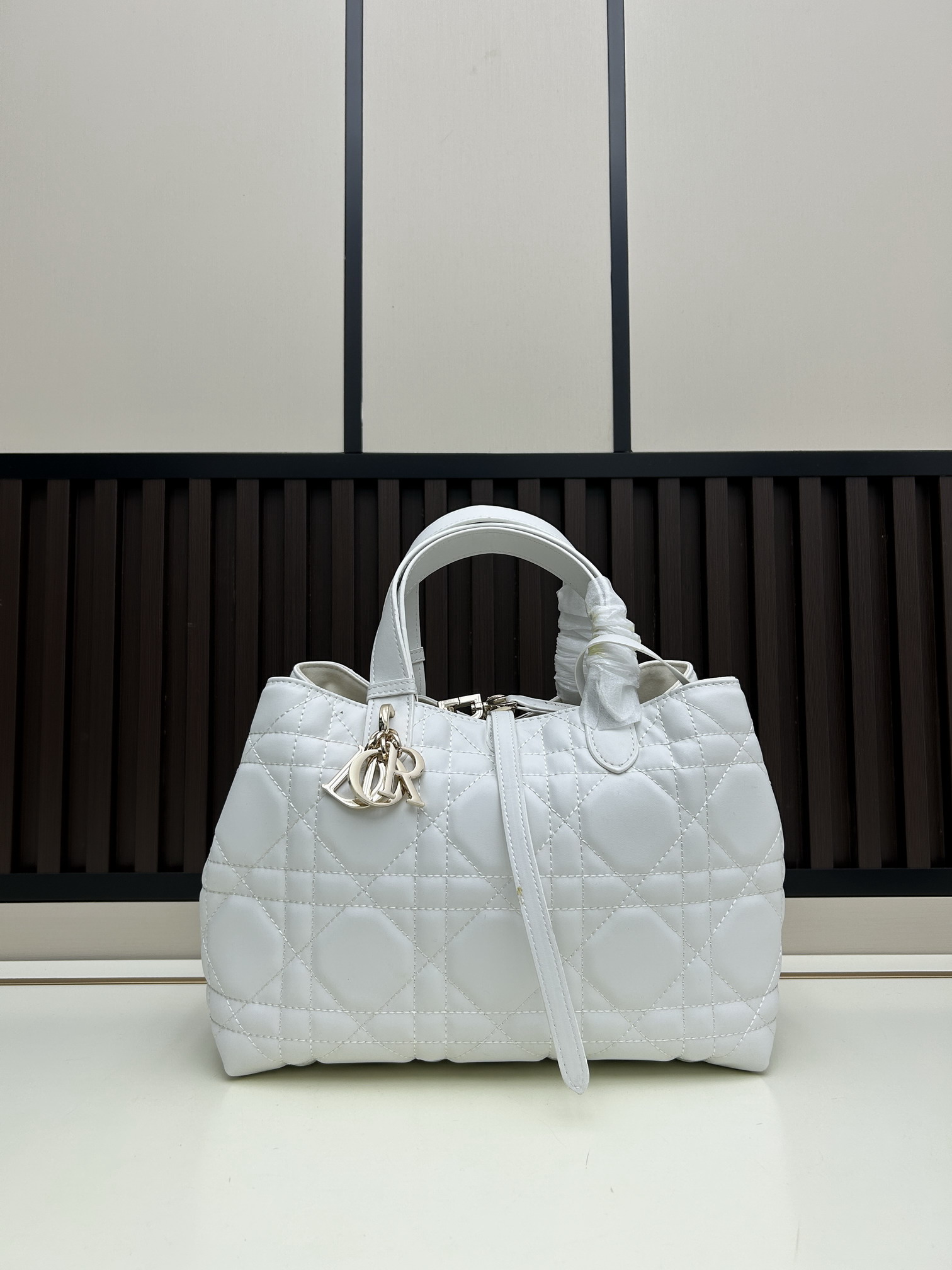 Dior Toujours 2821 28 5x21 5x19cm jj3_1