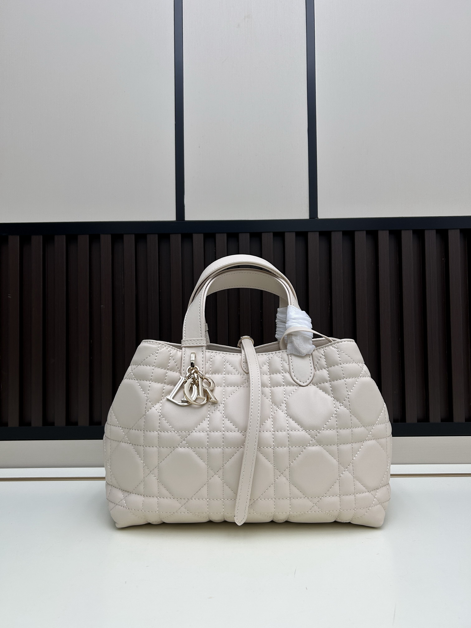 Dior Toujours 2821 28 5x21 5x19cm jj3_3
