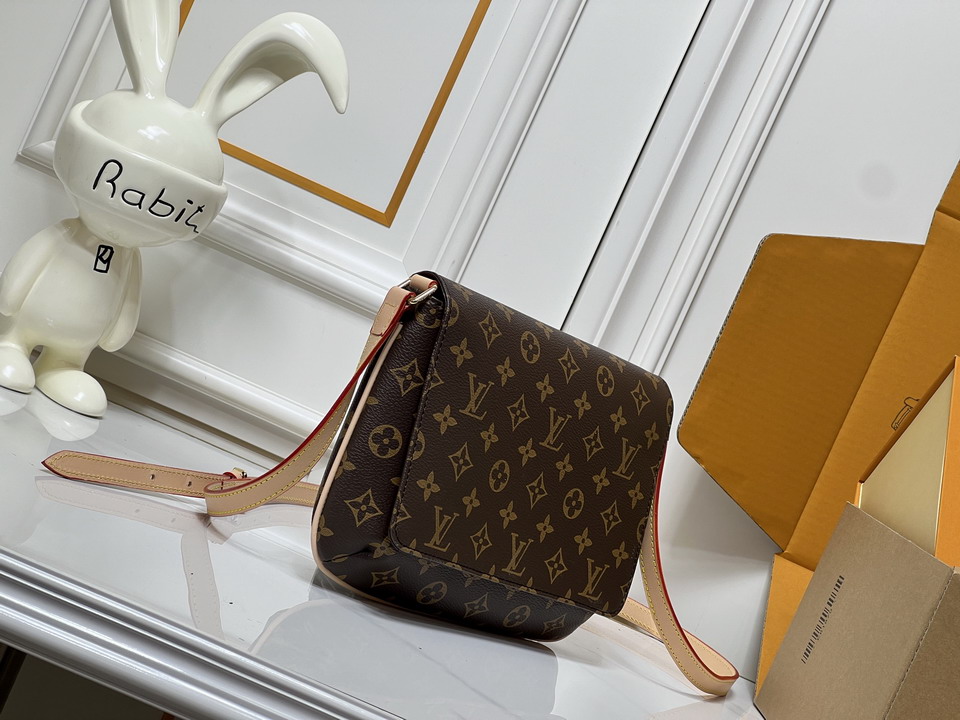 Neverfull M51257 25x22x4cm ss_2