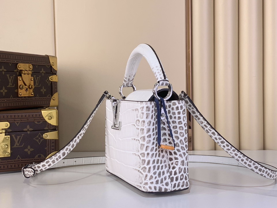 Cap N48865 21x14x8cm gf5_3