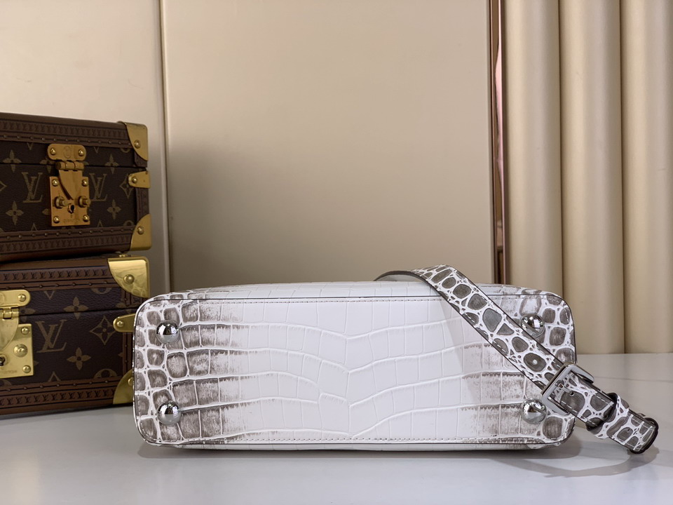 Cap N48865 27x18x9cm gf6_4