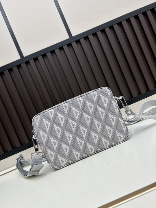 Dior 206 22 5x15x5cm ss3_3
