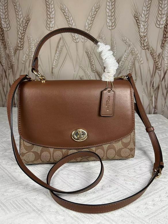 76620 25X16cm DN 4colour