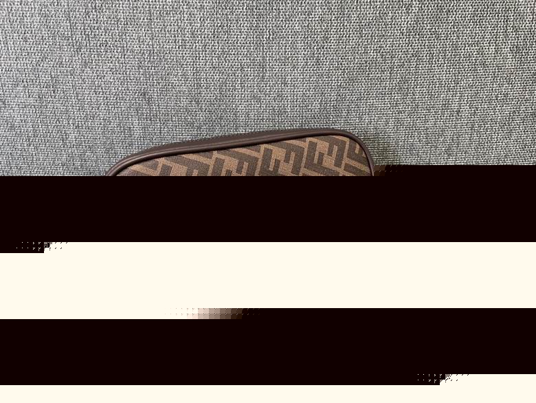 2024 Fendi Camera bag Original