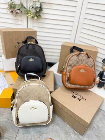 Coach Court 21x25cm CN1